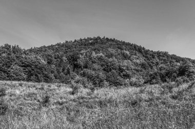 Dağların güzel manzarası