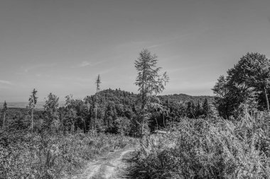 Dağları ve bulutları olan güzel bir manzara