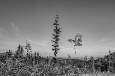 Dağdaki siyah beyaz bulutlar
