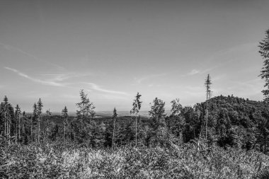 Kanada 'da güzel doğa manzarası