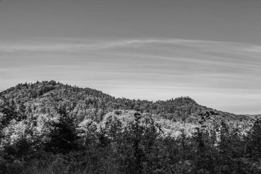 Arka planda ağaçlar ve tepelerle çevrili bir dağın gri tonlu görüntüsü.