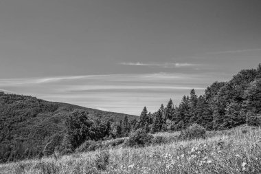 Yazın Ukrayna 'da Karpatlar' da dağlarda siyah beyaz bulutlar.