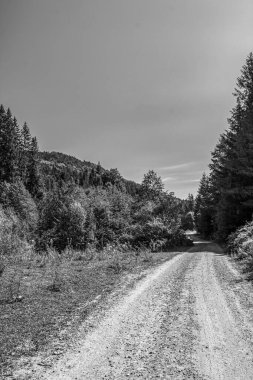 bir yolun siyah ve beyaz görüntüsü