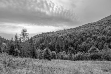 Karpatlar 'da siyah ve beyaz manzara