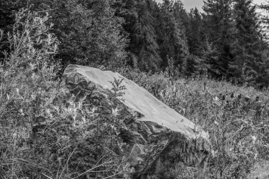 siyah ve beyaz mermer taş doğal doku