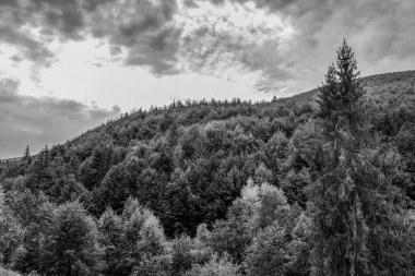 Dağların güzel manzarası