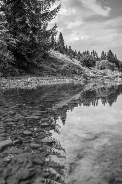 Ağaçlarla çevrili bir dağ deresinin gri tonlu görüntüsü.