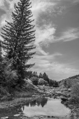 Dağlarda nehri olan güzel bir manzara.