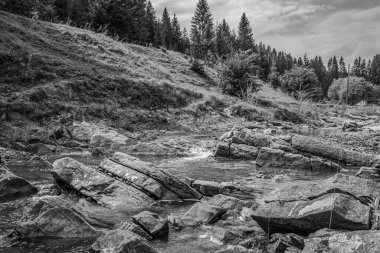 siyah ve beyaz dağ nehri yaz zamanı