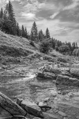 Nehrin siyah beyaz güzel bir görüntüsü.