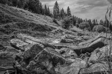 Dağlarda ağaçlar ve taşlarla kaplı siyah beyaz bir nehir.