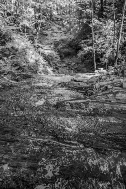 Eski tahta köprünün dikey görüntüsü.