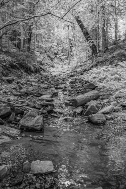 Kayalık bir dağda güzel bir şelale görüntüsü.