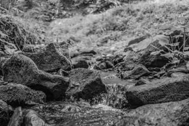 Ormandaki bir şelalenin gri tonlu görüntüsü.