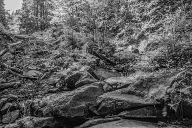 Dağ nehrinin siyah beyaz fotoğrafı