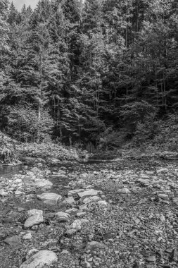 Kayalık bir dağdaki bir dağ nehrinden akan bir akarsuyun siyah ve beyaz görüntüsü