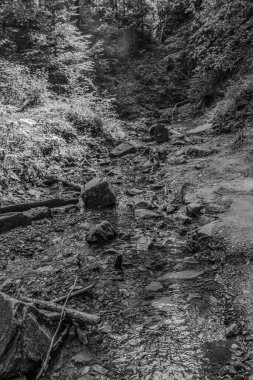 Eski ahşap bir köprünün siyah beyaz fotoğrafı