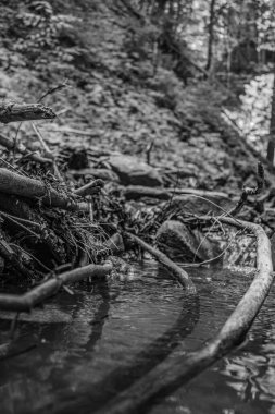 bir nehrin siyah beyaz fotoğrafı