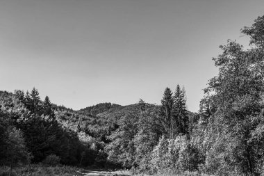 siyah ve beyaz resim.