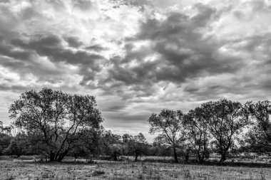 Bulutlu bir gökyüzünün güzel bir görüntüsü