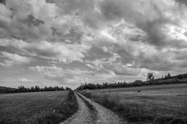 Bir tarlada siyah ve beyaz bulutlar