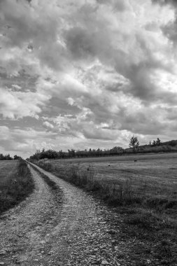 Buğday tarlasının üzerinde siyah ve beyaz bulutlar.