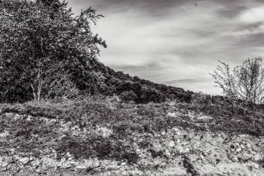 Ağacı ve dağı olan güzel bir manzara.