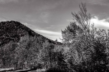 Colorado 'daki kayalık dağların siyah ve beyaz görüntüsü