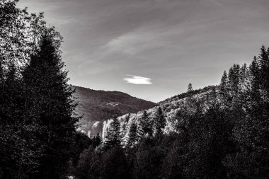 Ağaçlar ve dağlarla dolu güzel bir manzara.