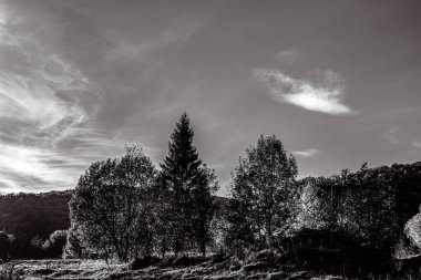 Dağlı güzel bir manzara.
