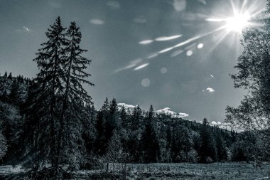 Arka planda dağ sırası olan güzel bir manzara.