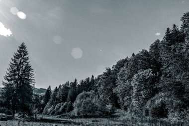 Karpatlar 'ın güzel doğa manzarası