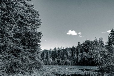 Nehir ve gölü olan güzel bir manzara.