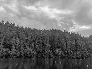 Dağ gölünün siyah beyaz fotoğrafı