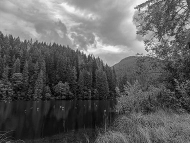 Bir gölü ve dağı olan güzel bir manzara.