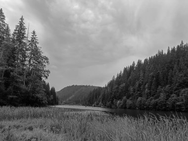 Arkasında bir dağ nehri olan siyah beyaz bir manzara..