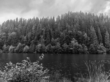 Karpat Dağları 'ndaki siyah ve beyaz manzara