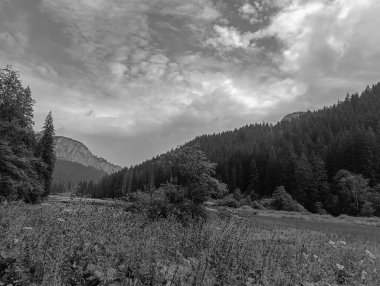 Dağ manzarasının siyah beyaz fotoğrafı