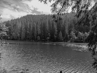 Dağ gölünün siyah beyaz fotoğrafı