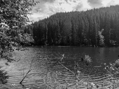 Dağlardaki siyah ve beyaz manzaralar