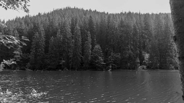 Dağ nehrinin siyah beyaz fotoğrafı