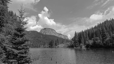 Dağlardaki siyah ve beyaz manzaralar