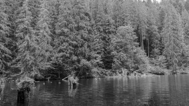 Güzel manzara. Dağlardaki gölün siyah beyaz görüntüsü.