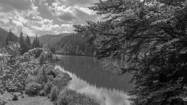 Dağlarda nehri olan güzel bir manzara.