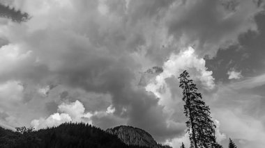 Dağlardaki güzel dağ sıraları