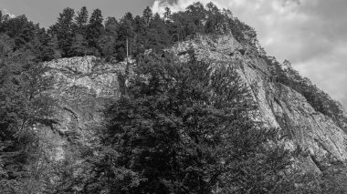 Kırım dağlarındaki dağ manzarasının siyah ve beyaz fotoğrafı.
