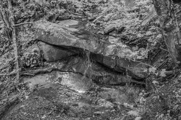 Ormandaki bir şelalenin siyah beyaz fotoğrafı