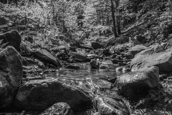 bir dağ deresinin siyah beyaz resmi
