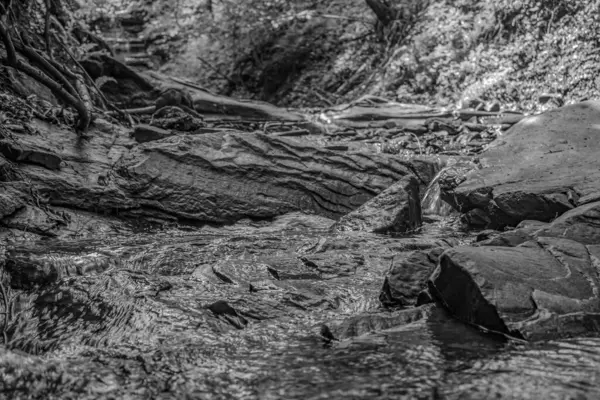 Ormanda güzel bir şelale