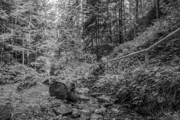 Küçük şelaleli bir derenin dikey görüntüsü.